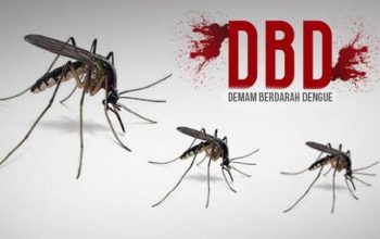 Ilustrasi Nyamuk Demam Berdarah