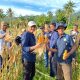 Amran Mustapa Sukses Tingkatkan Hasil Pertanian Bone Bolango