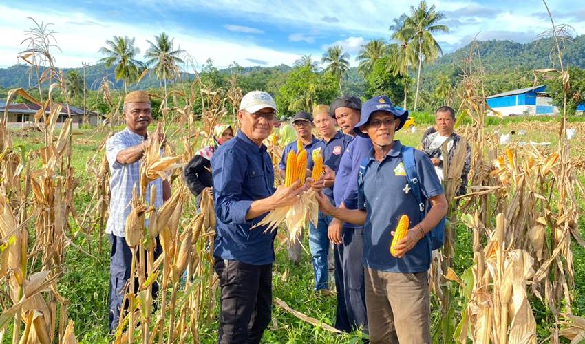 Amran Mustapa Sukses Tingkatkan Hasil Pertanian Bone Bolango